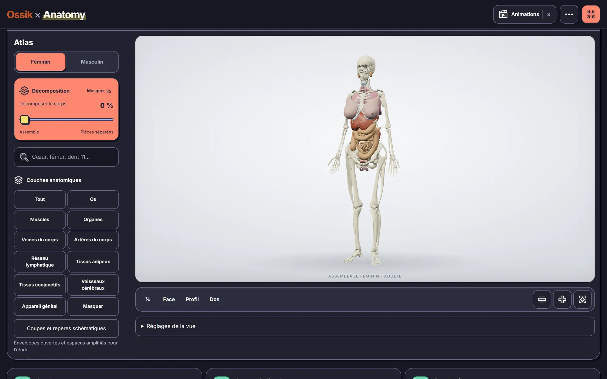 L'atlas d'anatomie 3D de l'app : la référence féminine