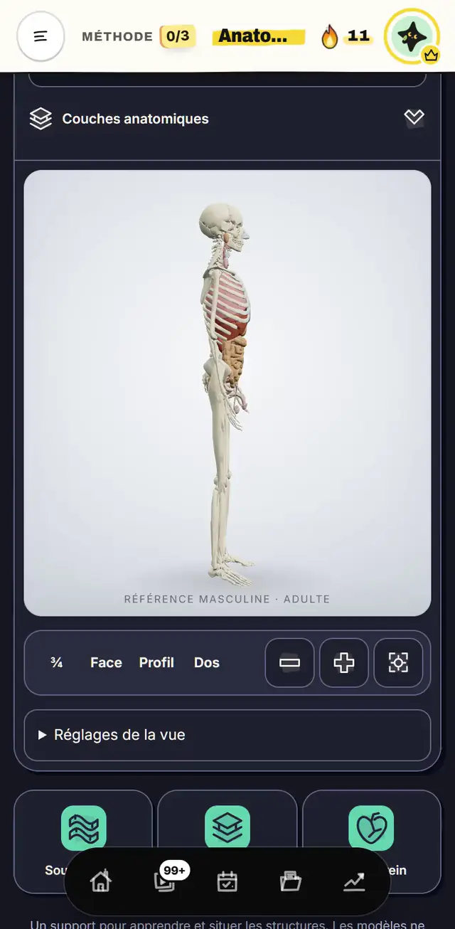 L'atlas d'anatomie 3D de l'app sur iPhone