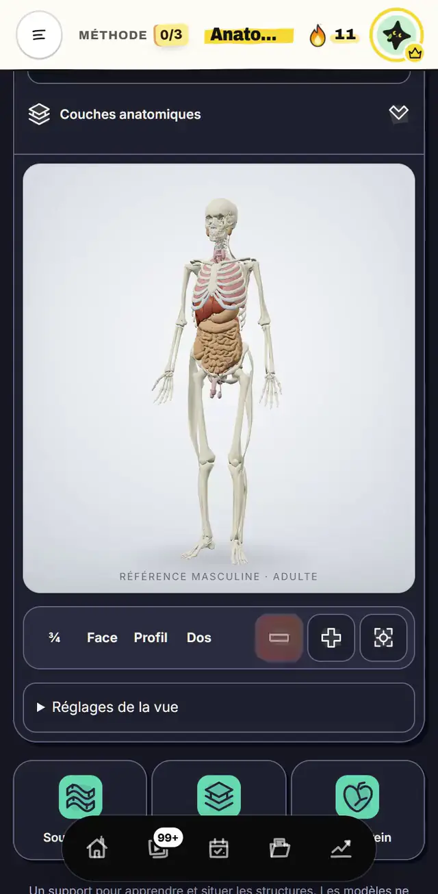 Vidéo de l'app : l'atlas d'anatomie 3D tourne